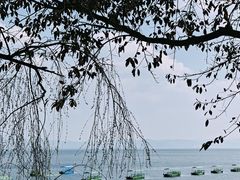 -抚仙湖禄充风景区