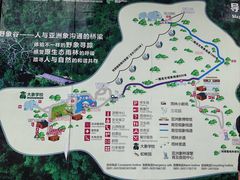 -野象谷景区