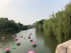 -芜湖方特东方神画