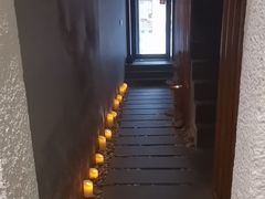 -泰菩提树下·泰式按摩SPA(沙坡尾店)