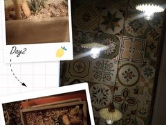 -时光花园(白鹭洲店)