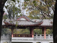 -柳侯公园