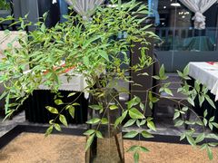 -山水雅居·江南雅宴(运河公园店)