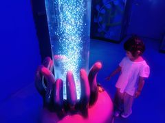 -沈阳海洋探索中心