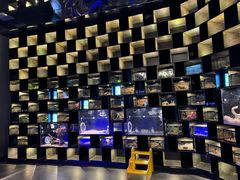 -太平洋海底世界