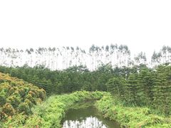 -迪茵湖田家舍生态农场
