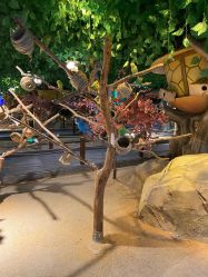 -酷嗒动物文化乐园(cutezoo西溪乐天城店)