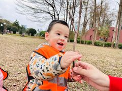 -金点蒙氏国际教育(悠然校区)