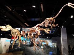 -墨尔本博物馆(Melbourne Museum)