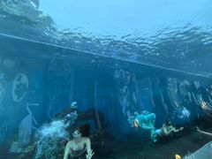 -海棠湾洲际-涛·海底餐厅·美人鱼·自助餐·海底隧道