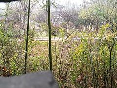 -南山风景名胜区