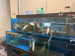 -状元楼(金溪路店)