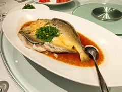 -集品堂·JPC餐厅(青年大街市府店)