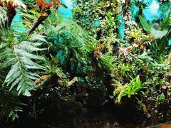 -太平洋海底世界