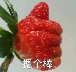 -藤野造型·专业烫染店