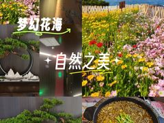 -蛙老爹·蜀香美蛙鱼头(王家湾店)