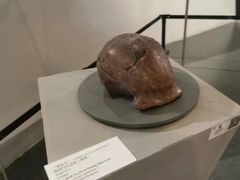 -北京周口店北京人遗址博物馆