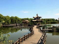 -溱湖国家湿地公园