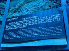 -西峡恐龙遗迹园