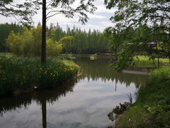 -黄海国家森林公园