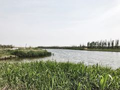 -春花秋色城市公园