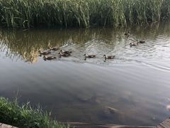 -前关湿地公园