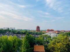 -清明上河园