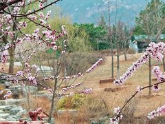 -北京西山国家森林公园