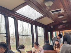 -合肥滨湖国家森林公园