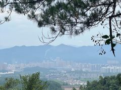 -大奇山国家森林公园