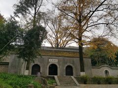 -镇江市南山风景名胜区竹林景区