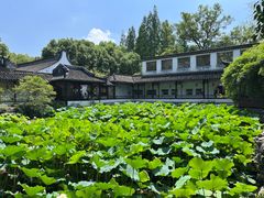 -上海醉白池公园