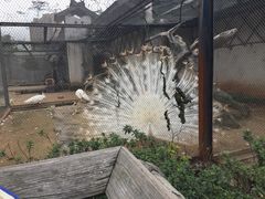 -南昌动物园