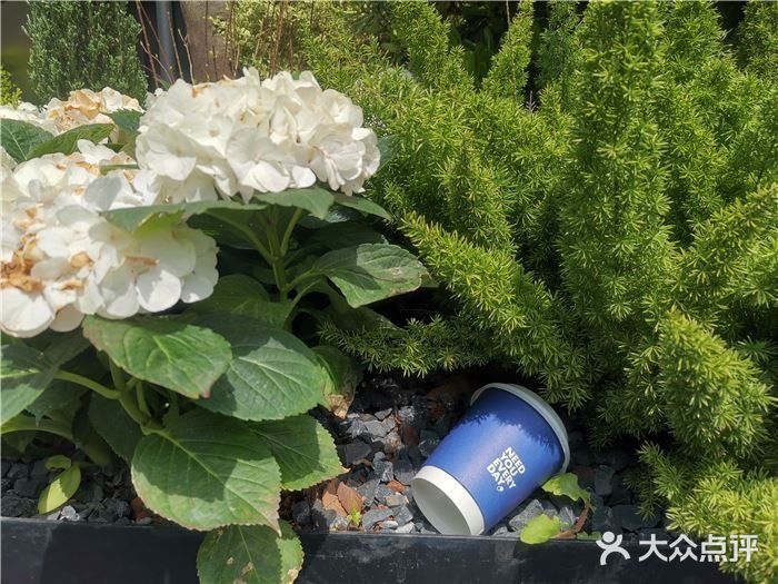 令人怀念的味道，真心忘不了！！！