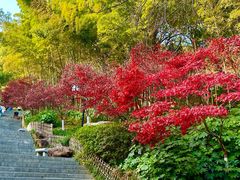 -岳麓山风景名胜区
