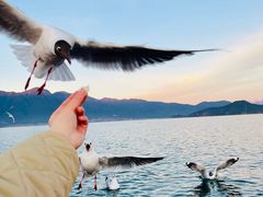 -丽江泸沽湖景区