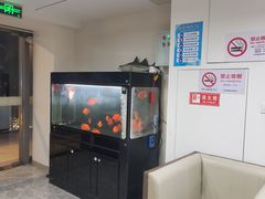 -翟韵茶咖棋牌