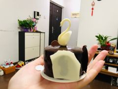 -BLACKSWAN黑天鹅(环球店)