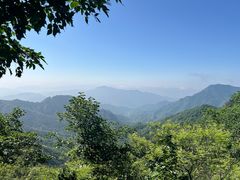 -大岭沟猕猴桃谷风景区