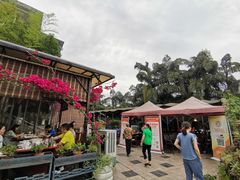 -先机泉水鸡汤(南山老君洞店)