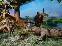 -国家自然博物馆