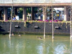 -深圳东部华侨城茵特拉根酒店