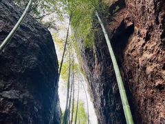 -莫干山风景区
