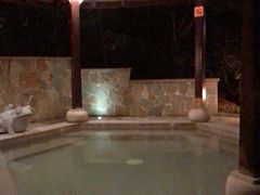 -天目湖涵田半山温泉
