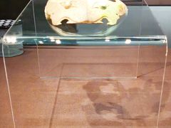 -盘龙城国家考古遗址公园