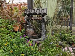 -大隐花事(熊婆婆的花园店)