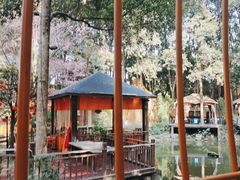 -二荆条·蜀鲜汇城市森林火锅