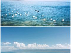 -青海湖国家重点风景名胜区