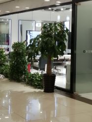 -华卫思理轻奢造型