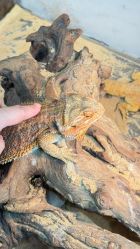 -Zoolung Zoolung动物主题公园(海信广场店)